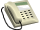 Icon that is displayed beside phonebook listings